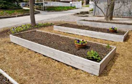Raised Bed Gardening: Plan Your Vegetables and Herbs in Fall Image